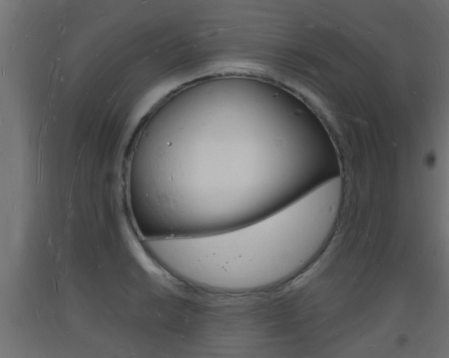 X0000093721038200710160746