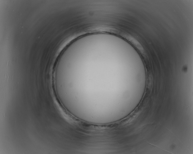 X0000093721039200710160746