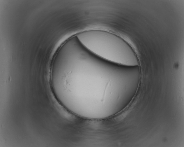 X0000093721040200710160746