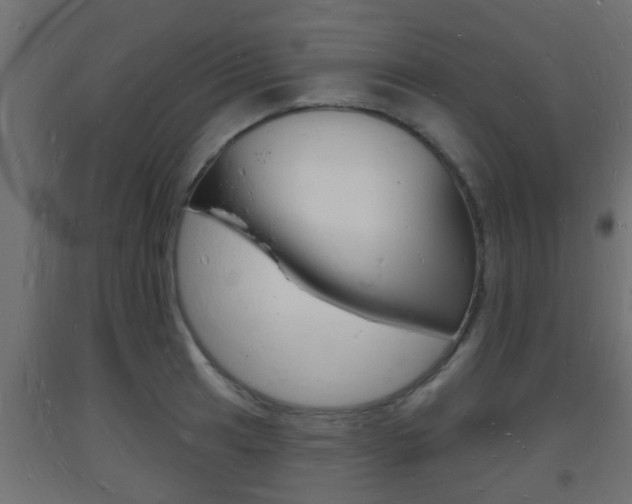 X0000093721041200710160746