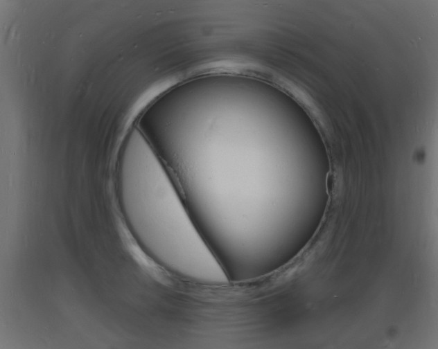X0000093721042200710160746