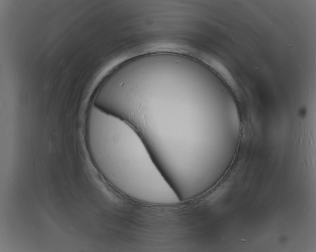 X0000093721043200710160746