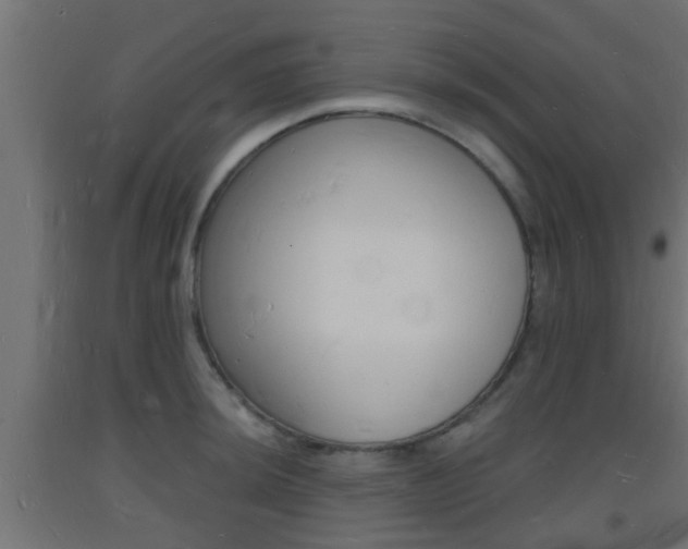 X0000093721044200710160746