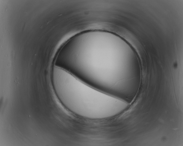 X0000093721045200710160746