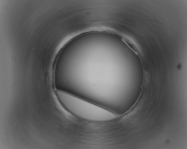 X0000093721046200710160746