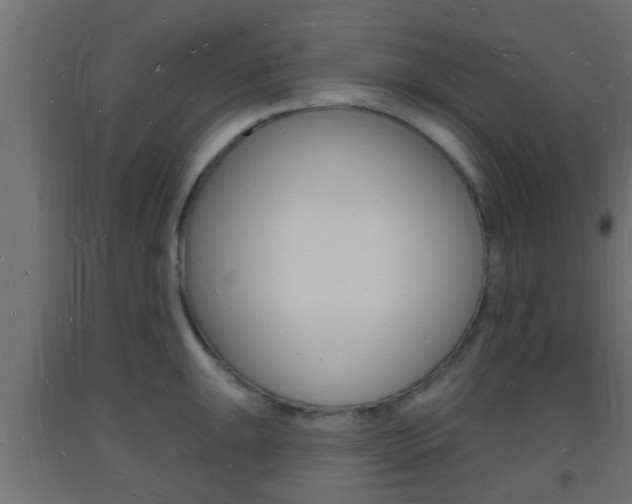 X0000093721047200710160746
