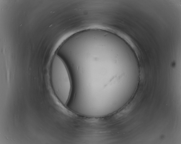 X0000093721048200710160746