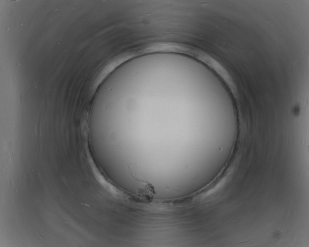 X0000093721049200710160746