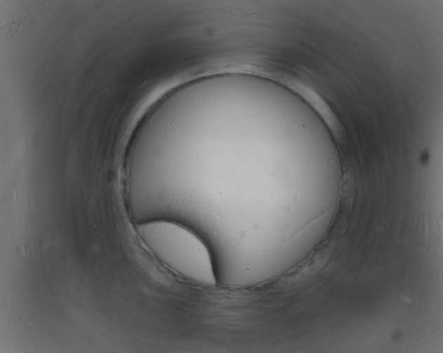 X0000093721051200710160746