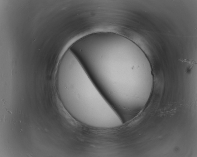 X0000093721052200710160746