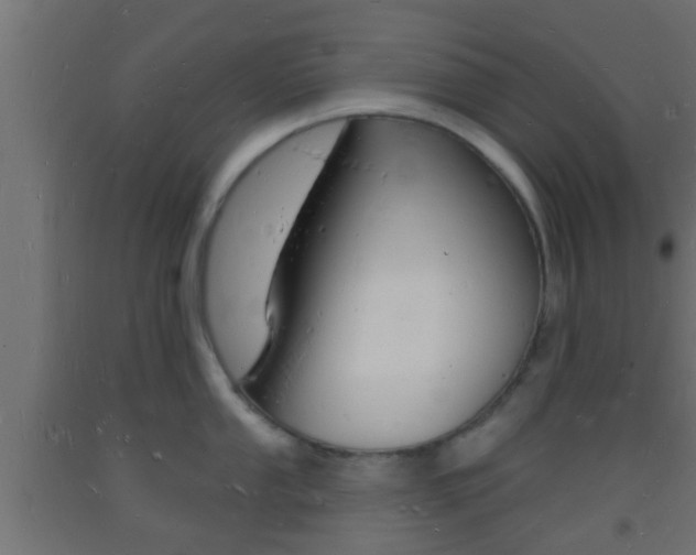 X0000093721053200710160746