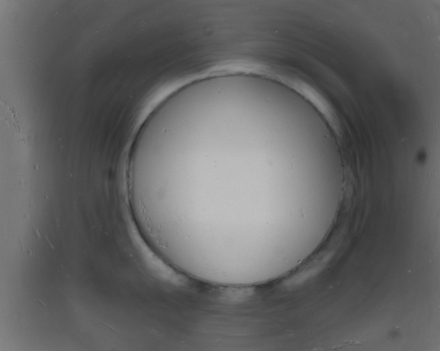 X0000093721055200710160746
