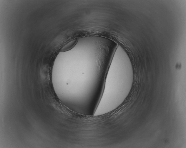 X0000093721058200710160745