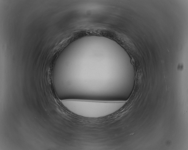 X0000093721060200710160745