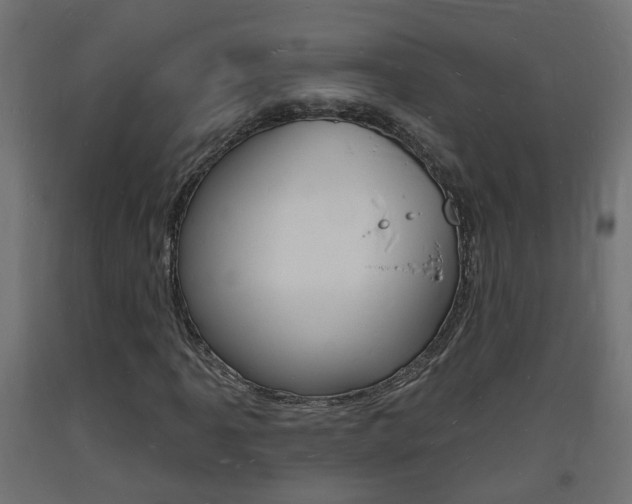 X0000093721061200710160745