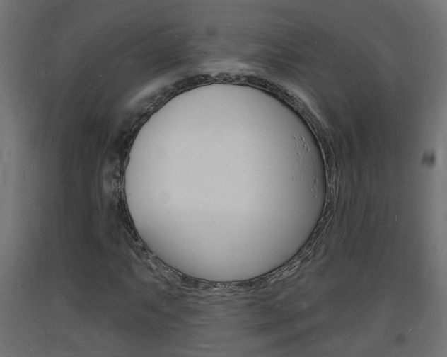 X0000093721063200710160745
