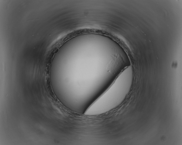 X0000093721064200710160745