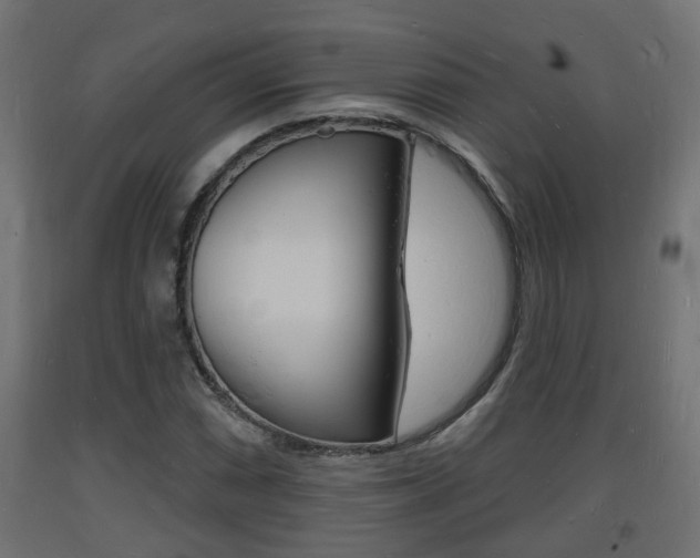 X0000093721066200710160745