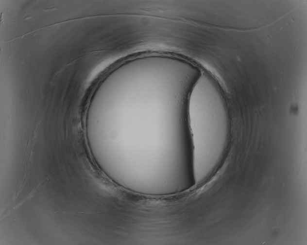 X0000093721070200710160745