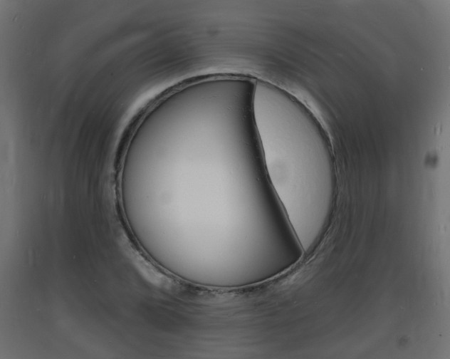 X0000093721072200710160745