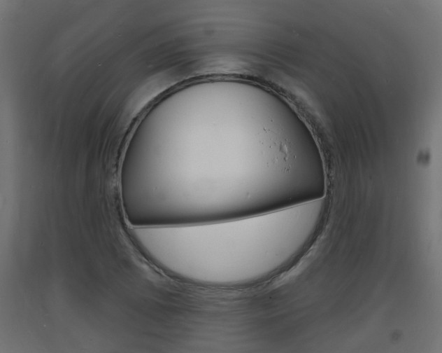 X0000093721073200710160745
