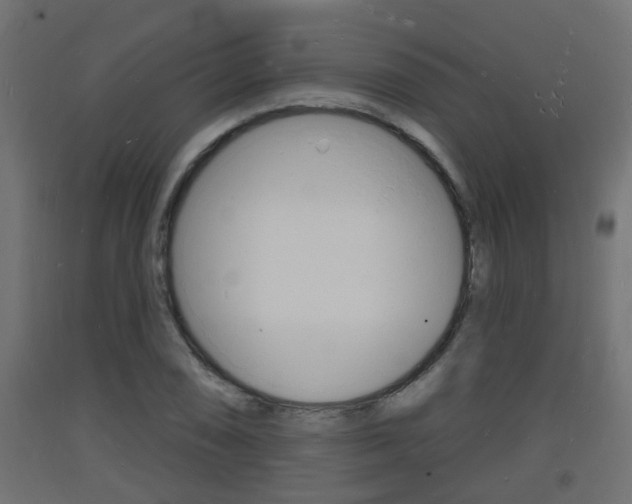 X0000093721074200710160745