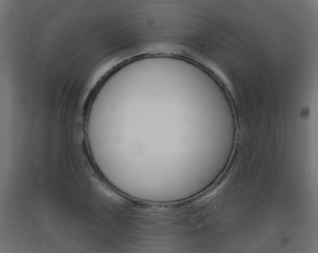 X0000093721075200710160745