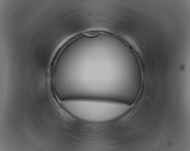 X0000093721076200710160745