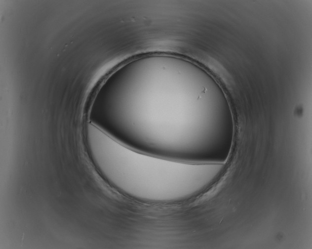 X0000093721077200710160745