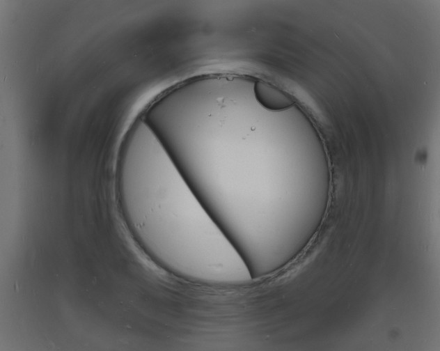 X0000093721079200710160745