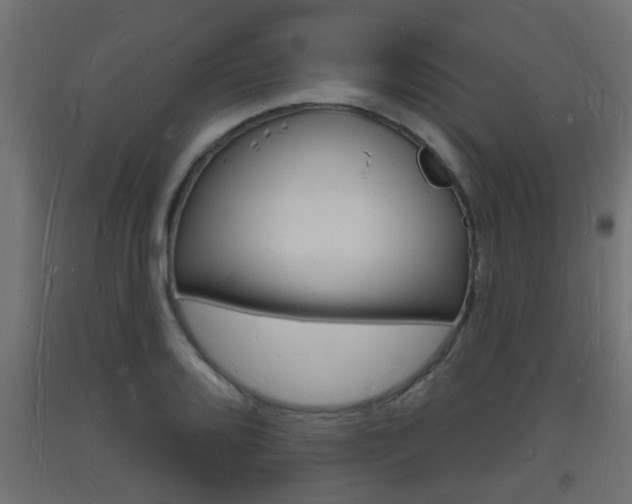 X0000093721080200710160745