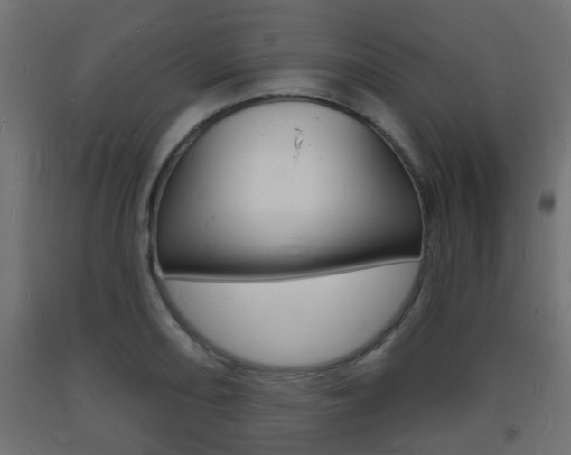 X0000093721082200710160745