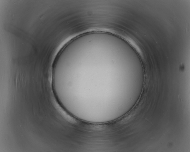 X0000093721084200710160745