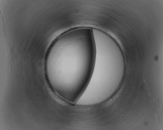 X0000093721085200710160745