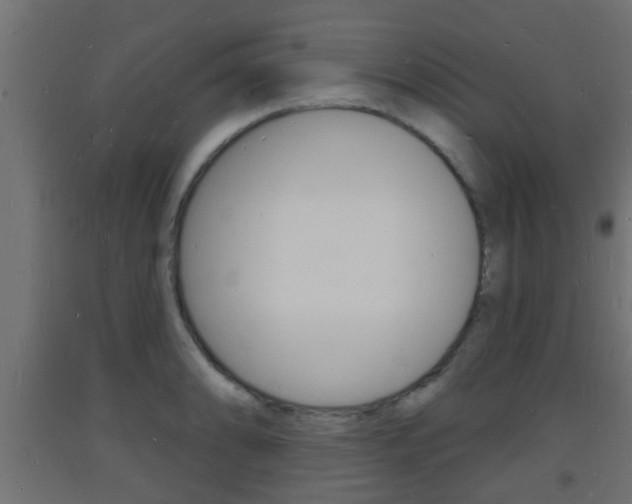 X0000093721086200710160745