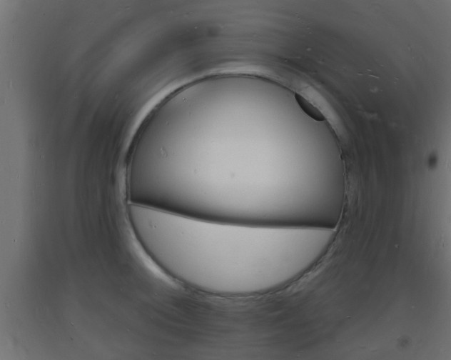 X0000093721092200710160745