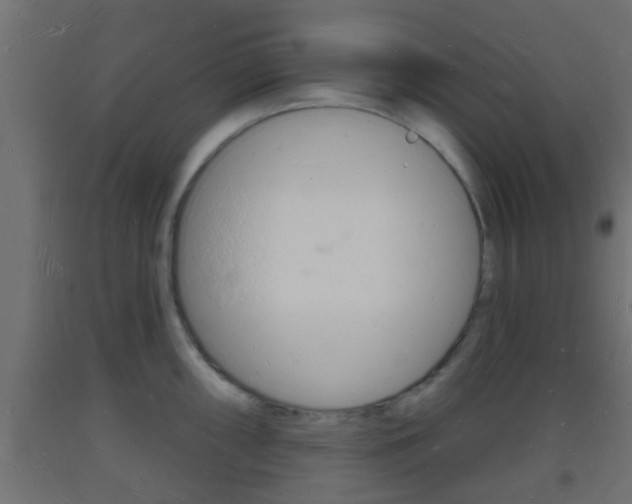 X0000093721098200710160745