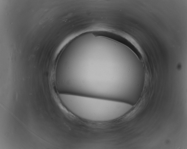 X0000093721101200710160745