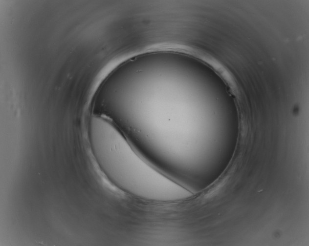 X0000093721102200710160745