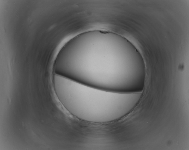 X0000093721104200710160745
