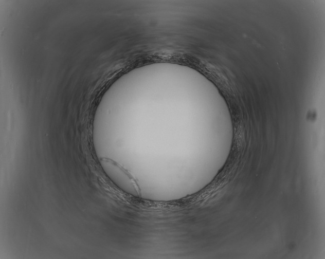 X0000093721105200710160744