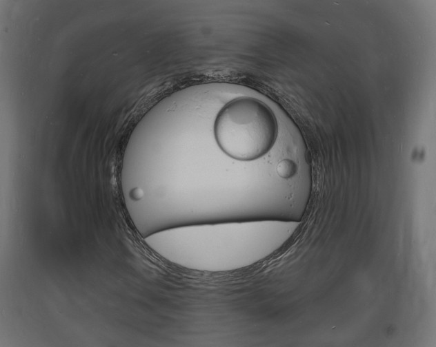 X0000093721106200710160744