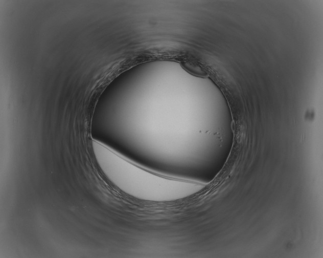 X0000093721108200710160744