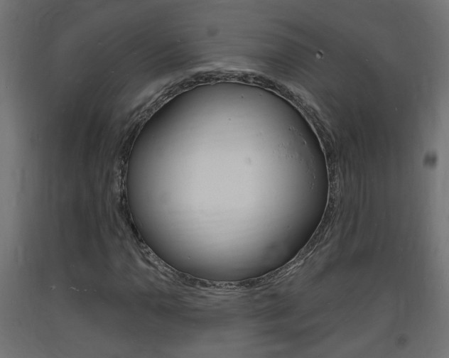 X0000093721110200710160744