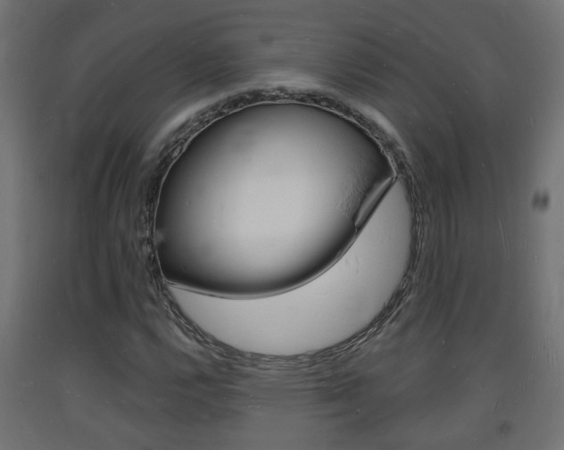 X0000093721112200710160744