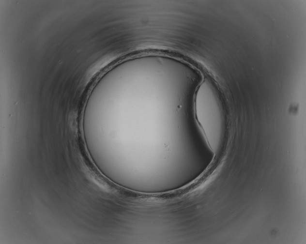 X0000093721113200710160744