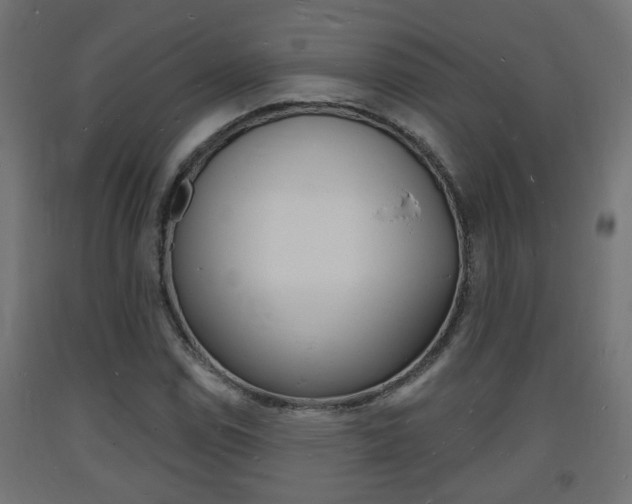 X0000093721114200710160744
