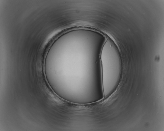 X0000093721115200710160744