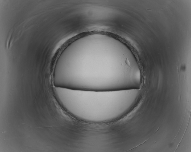 X0000093721117200710160744