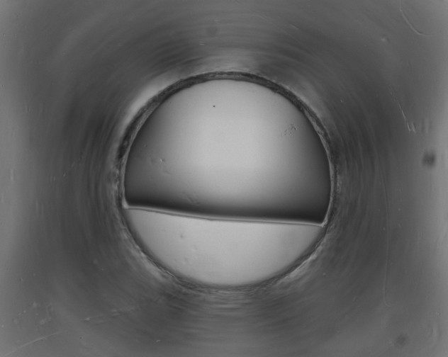X0000093721119200710160744